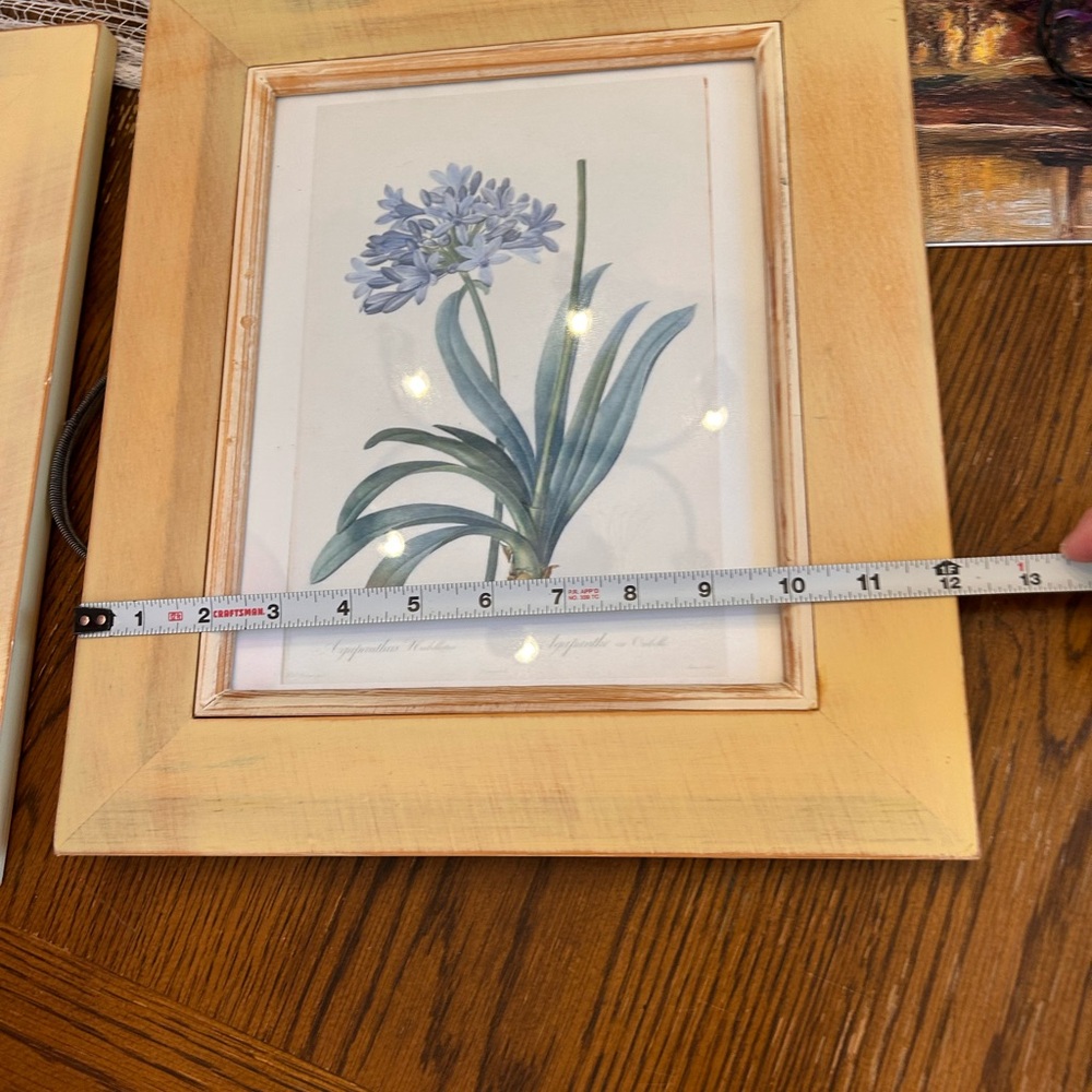Natural Wood Framed Botanical Prints Set - Picture 9 of 9
